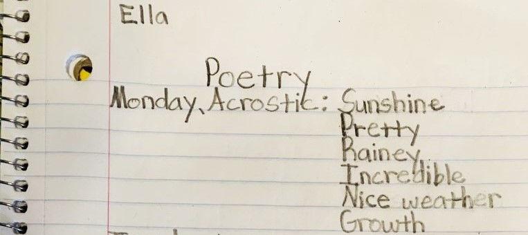 Haiku-poetry-literacy